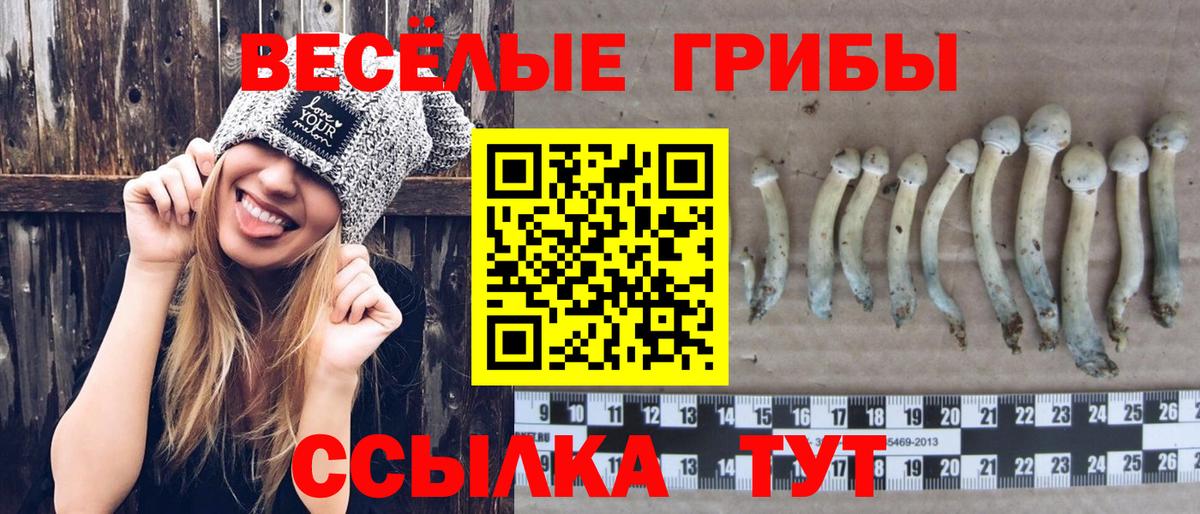 Псилоцибиновые грибы Magic Shrooms Кузнецк